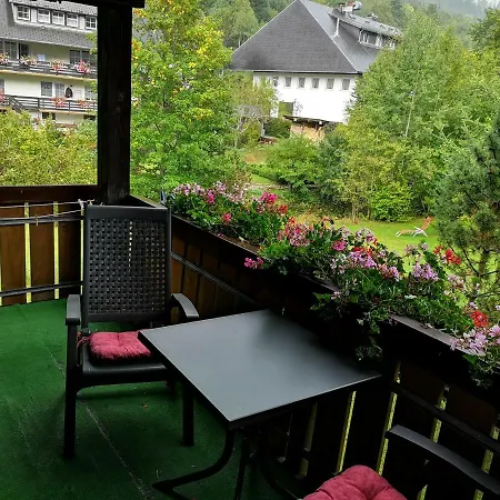 B4 Albmatte-FEWO Menzenschwand-Hinterdorf Esterno foto