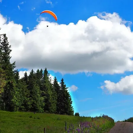 B4 Albmatte-FEWO Menzenschwand-Hinterdorf Esterno foto