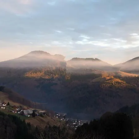 B4 Albmatte-FEWO Menzenschwand-Hinterdorf Esterno foto