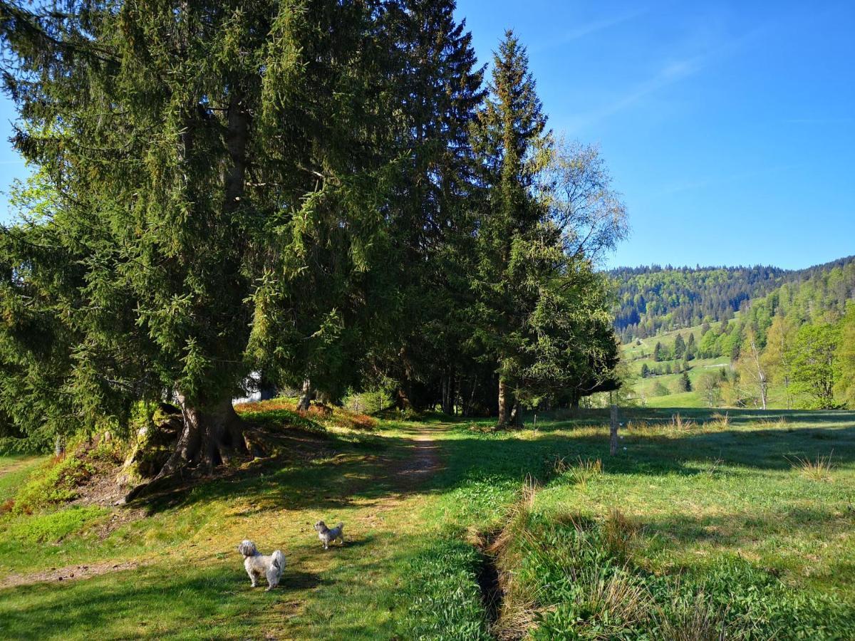 B4 Albmatte Apartment Menzenschwand