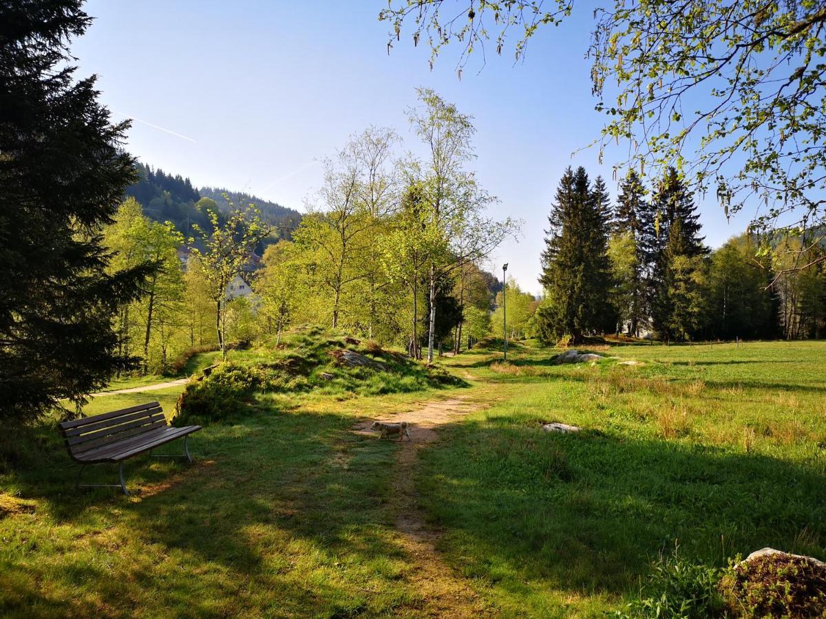 B4 Albmatte Apartment Menzenschwand