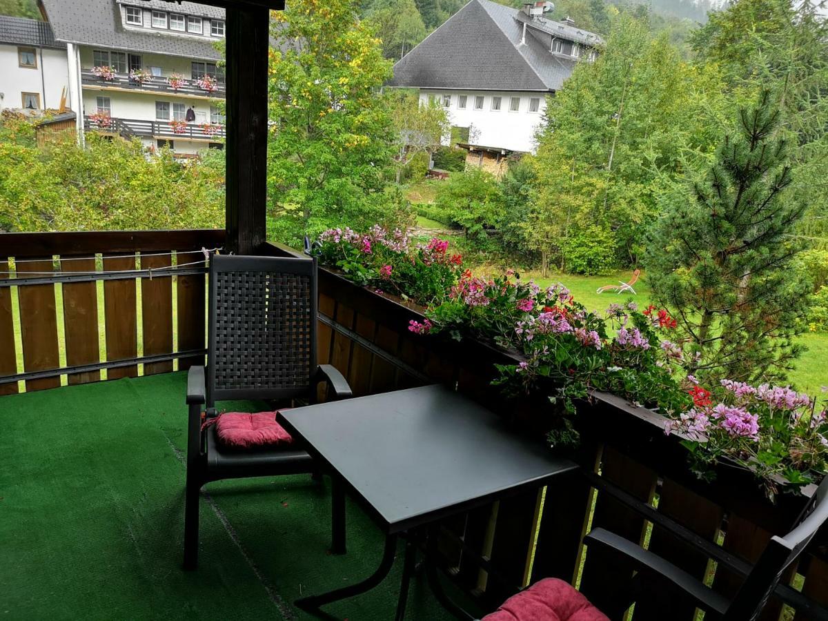 Apartment B4 Albmatte
