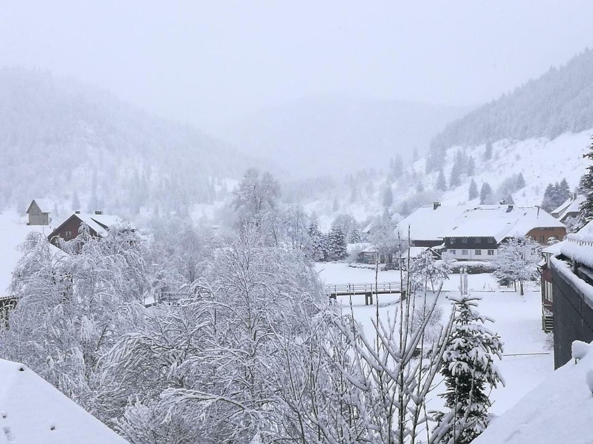 B4 Albmatte Menzenschwand-Hinterdorf
