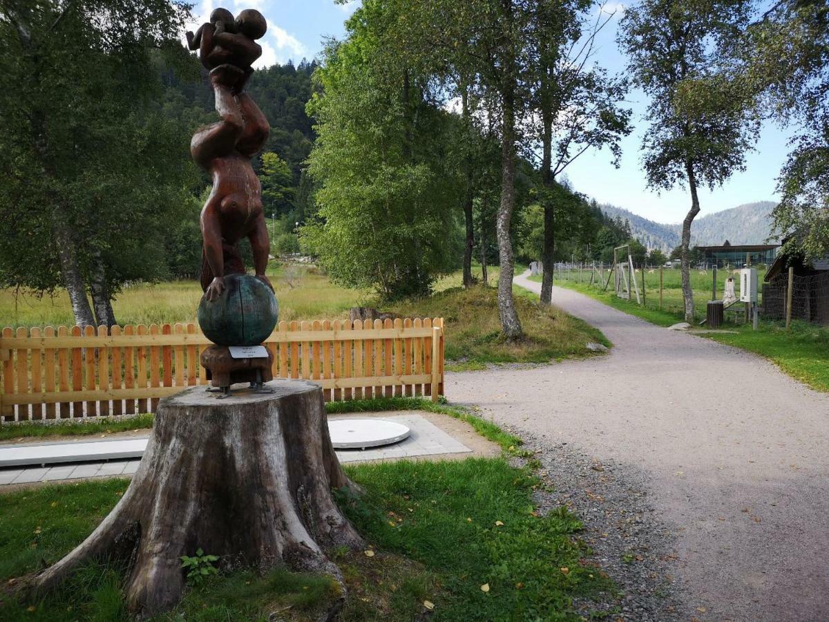 B4 Albmatte Lejlighed Menzenschwand-Hinterdorf