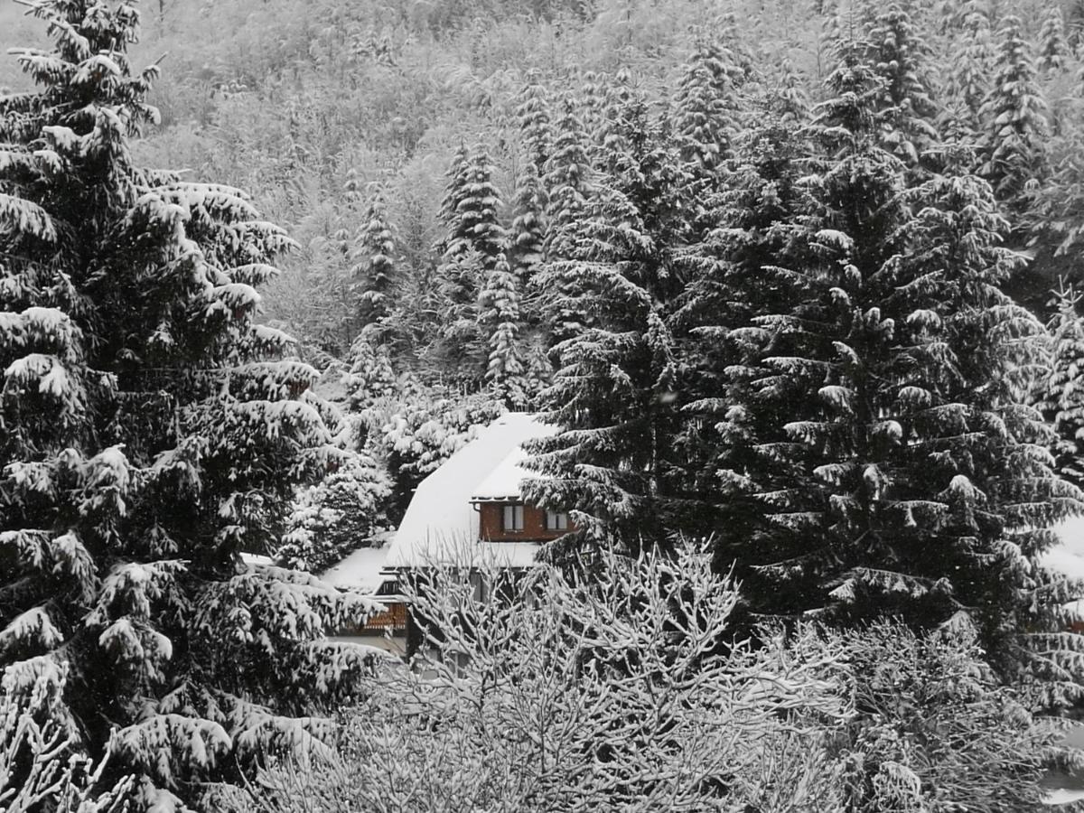 B4 Albmatte * Menzenschwand